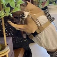 『来てくれてありがとう！！』