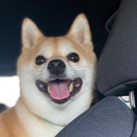 再会できてよかったね♡