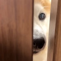 そーっと開けてみると…