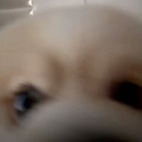 接近戦で仕上げ