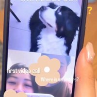 ママに確認するハリーくん