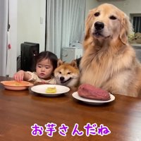 まだかな、まだかな～