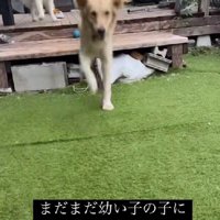 楽しそうな姿にほっこり