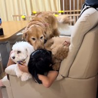 仲間だと思われているお孫さん