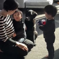 お座りしている犬