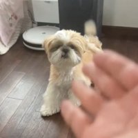 狙い