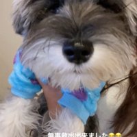 フードを外してもらった犬