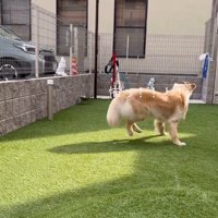 近づくとへっぴり腰に！