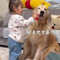 「最後にどうぞ！」