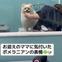 ニコッと笑顔に♡