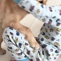 ついつい押し倒しちゃう！