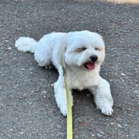 ニコニコ