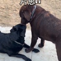 大好きなお友達
