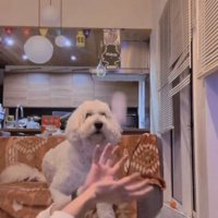 ボールをキャッチする人