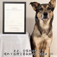 合格したまる君