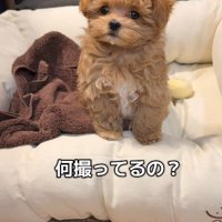 ちょっぴりイライラ