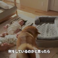 自分のベッドを持ってる！！
