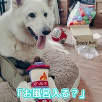 BJ くんに「お風呂入る？」と聞いたら4