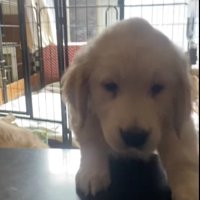 羨ましすぎる光景でした♡