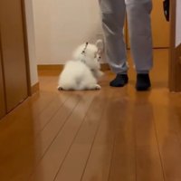Uターンしたら…