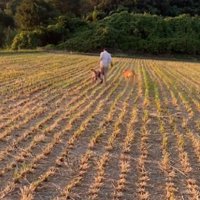 仲良しなおじいちゃんとわんこたち