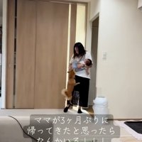 赤ちゃんに近づくまるくん