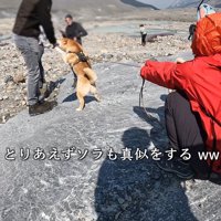 「僕にも構ってください♡」