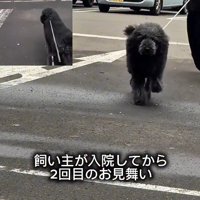 2度目のお見舞いに