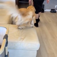 「おやつっ！！」