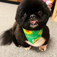 体力を回復してシャキッ♪