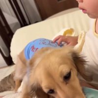 現在のサニーちゃんと赤ちゃん2