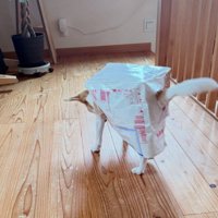 廃材で楽しく運動！