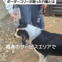 ジッピーくんの気遣い