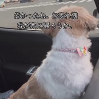 ふたりで乗り越えた！！