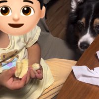 バナナを半分こする息子さん