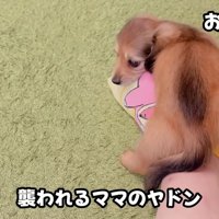 人懐こい一面を発揮