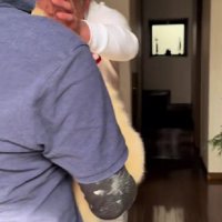 思わず手が伸びて…