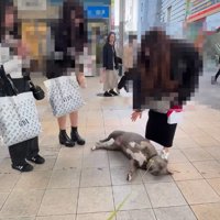 仰向けになった♡