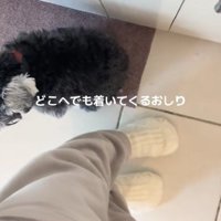 「もう離れないでね」