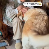 ララちゃんとユーザーさんの再会9