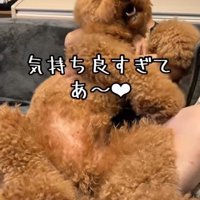 うっとり顔で満喫中♡