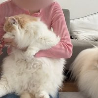 ポテチくんは心配そう