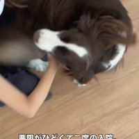 ママとの再会も大歓喜