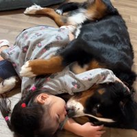 娘さんに顔を近づけるベルちゃん