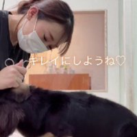 「頑張らなきゃ」