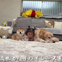 まさかのハイハイレース開幕