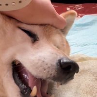 満開の笑顔に♡