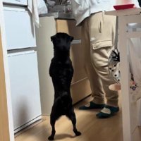 前世はモデル！？