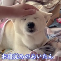 あいちゃんがお目覚め
