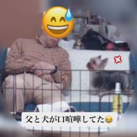 平和な光景にほのぼの